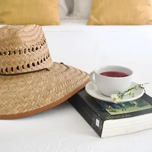 https://casa-del-artista-b-and-b.allrivieramayahotels.com