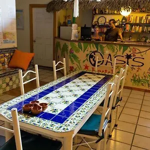 https://oasis-original-hostel.hotelspuertovallarta.org